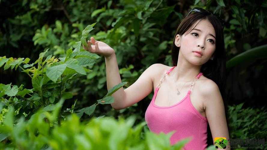 GOGOGO 免费高清在线中国：畅享无限精彩