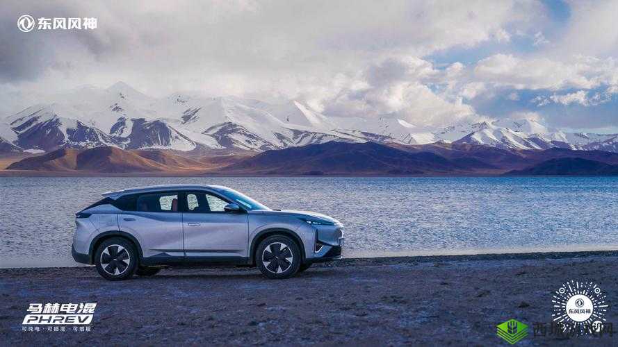 粗糙国产无人区码suv：关于其性能与特点的全面分析