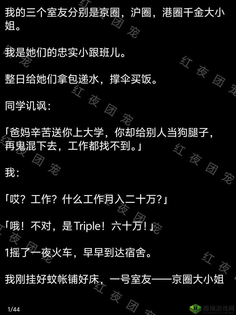 一不小心成了室友们的团宠百度云：我和室友们的那些温馨故事