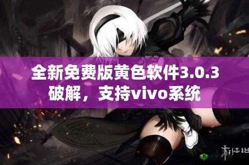 3.0.3 免费 vivo 版破解大全-提供超多破解资源