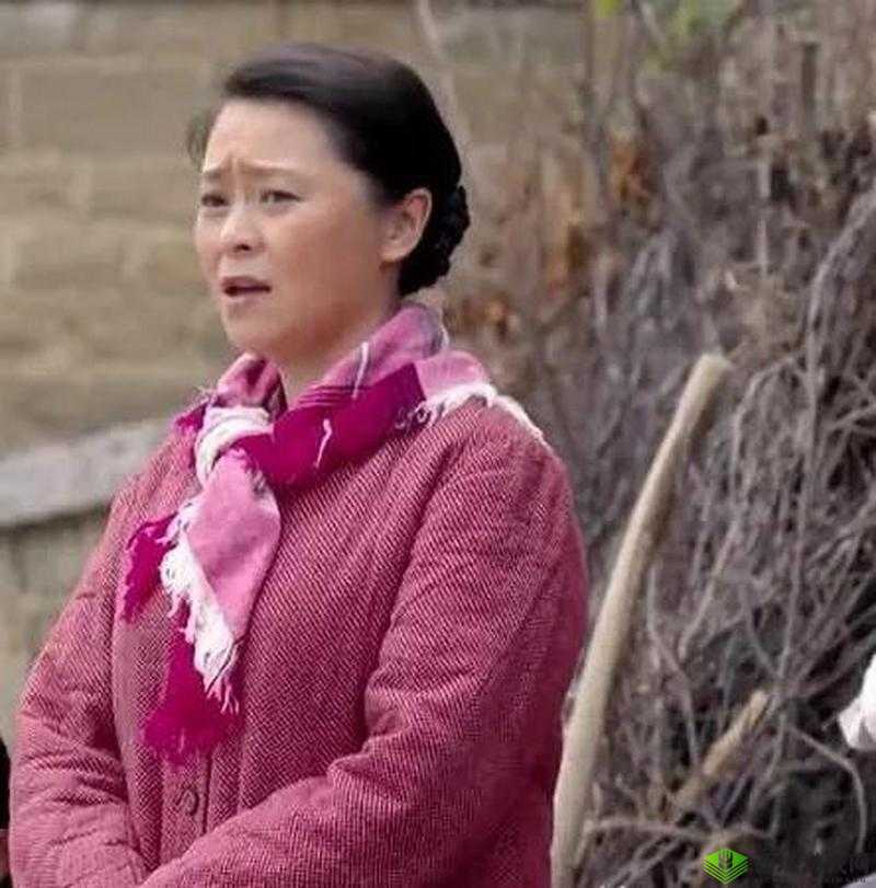 山村寡妇被强：道德与法律的边缘