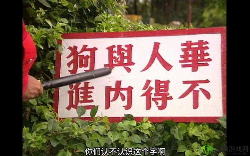 中国 zoom 人狗 app：探索别样趣味与新奇体验